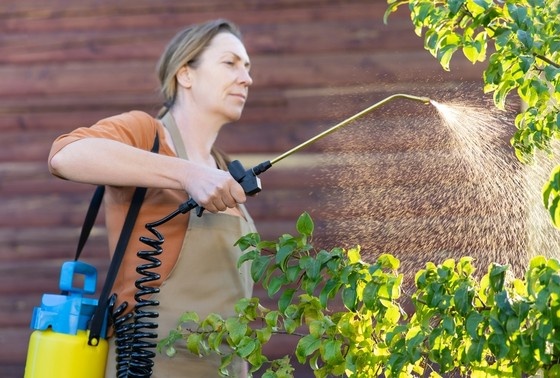 Чтобы избавить сад от надоедливых слизней и улиток, садоводы могут прибегнуть к домашним средствам, одно из которых может дать «мгновенный» результат, пишет Еxpress.