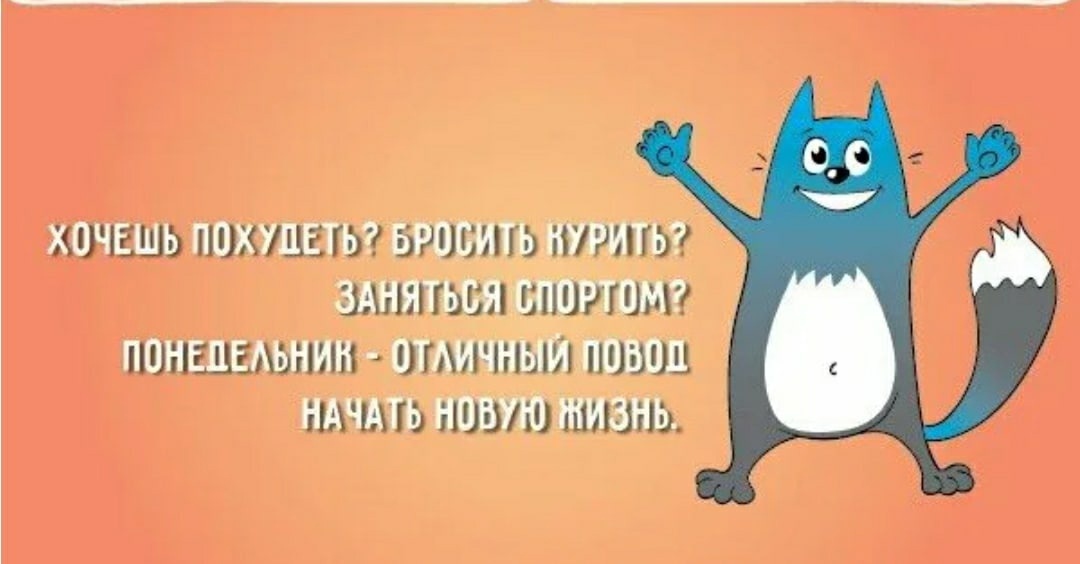 Из открытых источников информации.