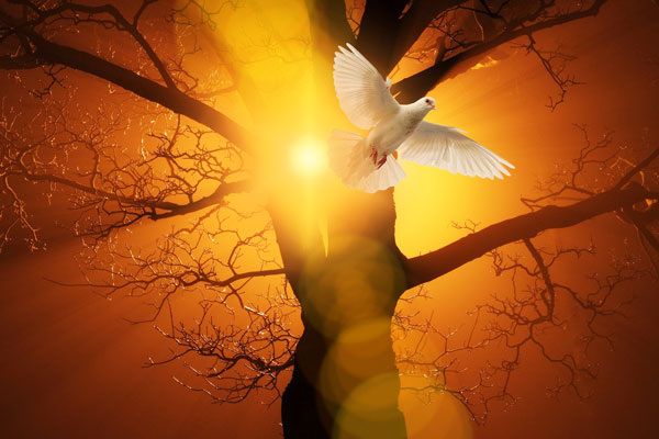 Картинка интернет.