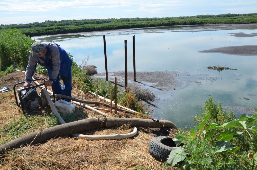    Росводоканал Оренбург: нейтрализация запахов на иловых полях продолжается Марина Шарт