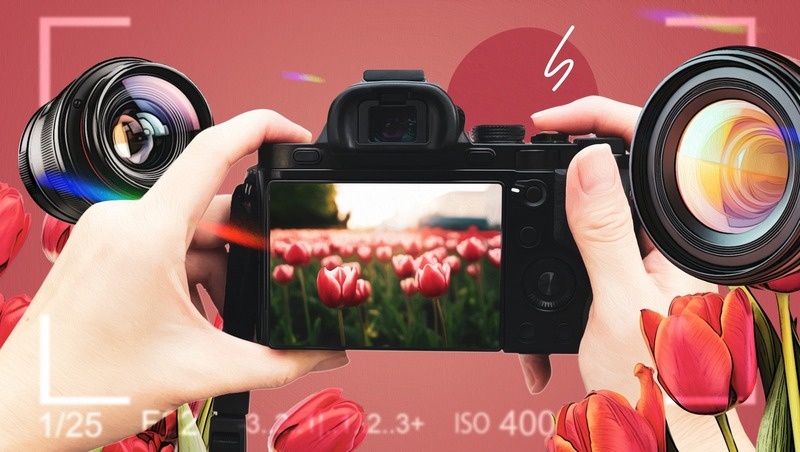      Фото: Сергей Лычак / / ИА «Победа26»