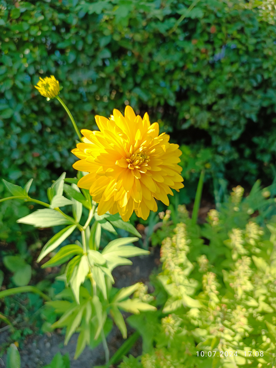 Просто для иллюстрации.