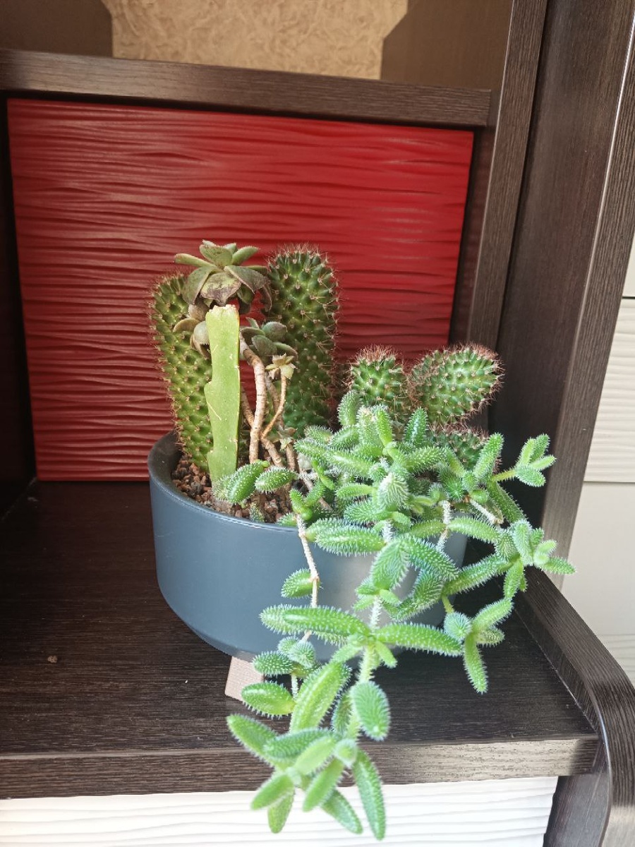 Фотография из личного архива