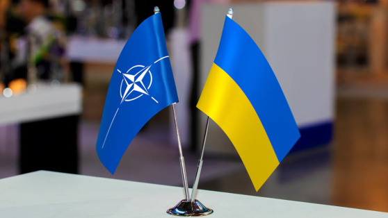    НАТО выразил поддержку усилиям Украины по вступлению в Альянс Егор Гордеев