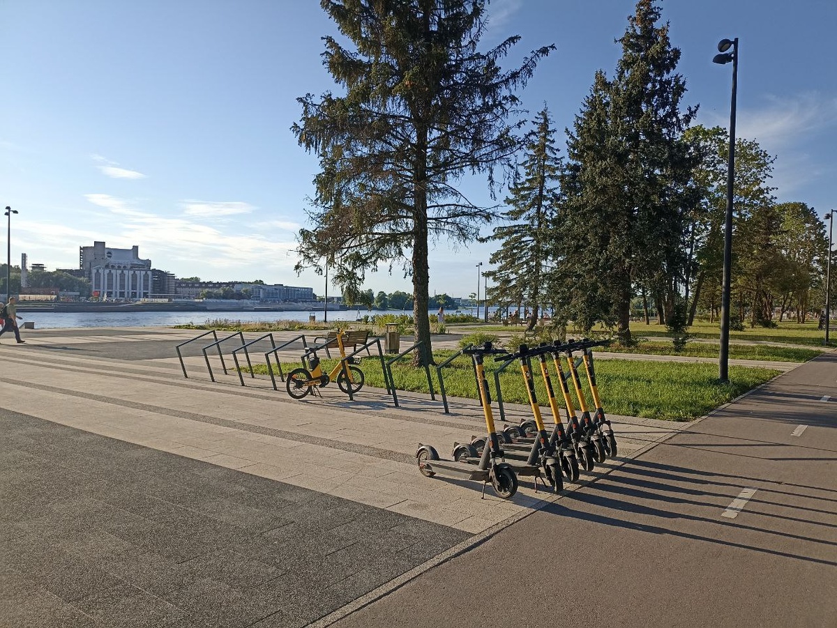 В Великом Новгороде могут запретить электросамокаты.  Фото: Матвей Николаев