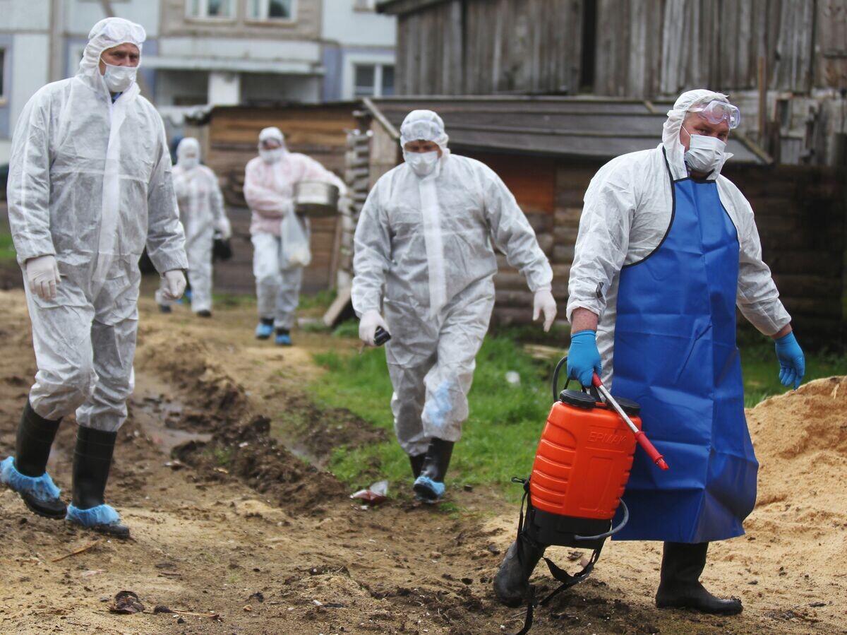    Сотрудники санитарных служб в деревне Озерки Окуловского района, где установлен карантин по африканской чуме свиней. 2012 год© РИА Новости / Константин Чалабов