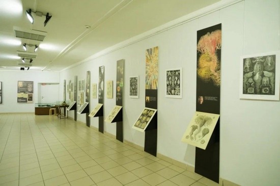    Фото: Александр Вдовенко