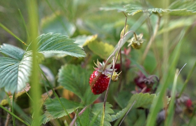 Светлана Мулыкина📷
