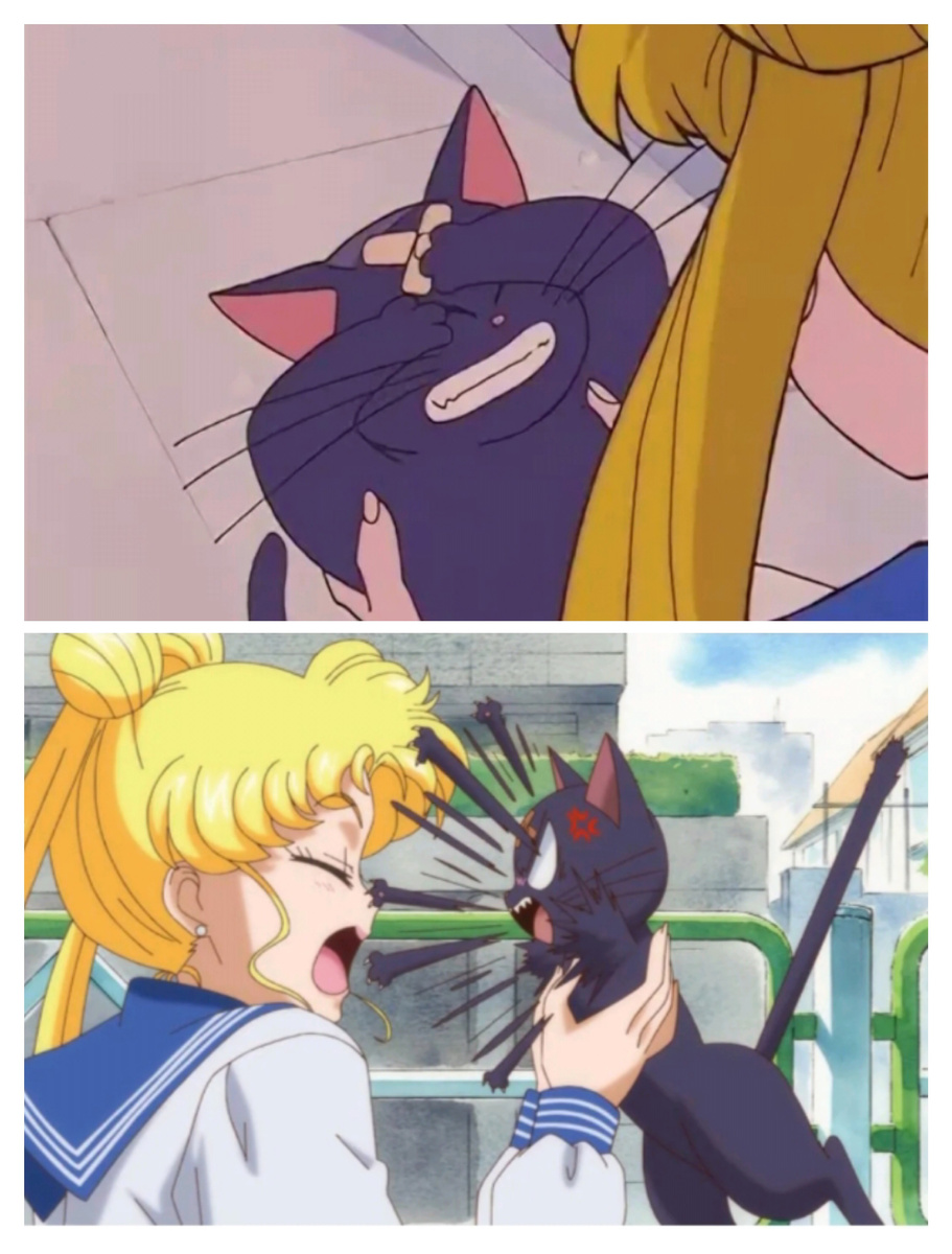 Сверху кадр из оригинального аниме, снизу кадр из Кристалла