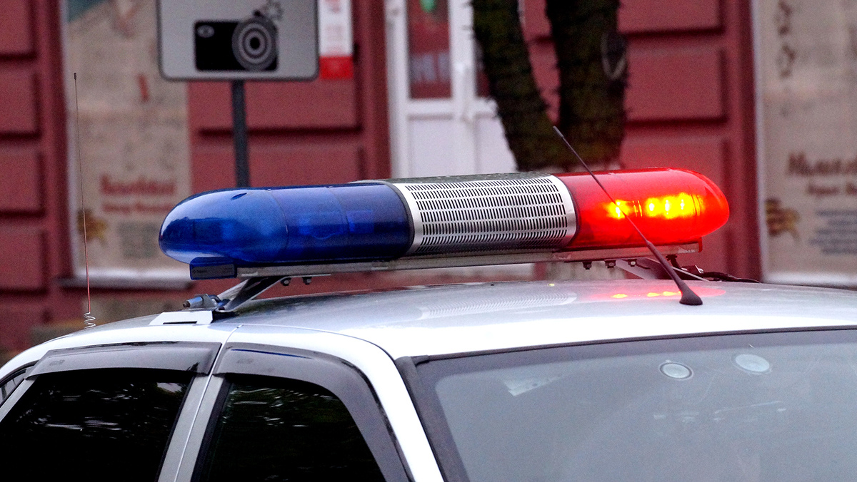    Фото: Сергей Егоров