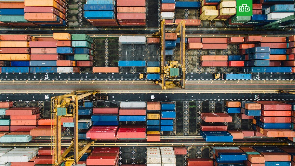    Фото: CHUTTERSNAP / unsplash.com