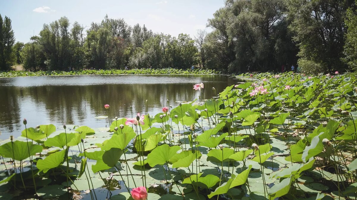     Источник: 1MI