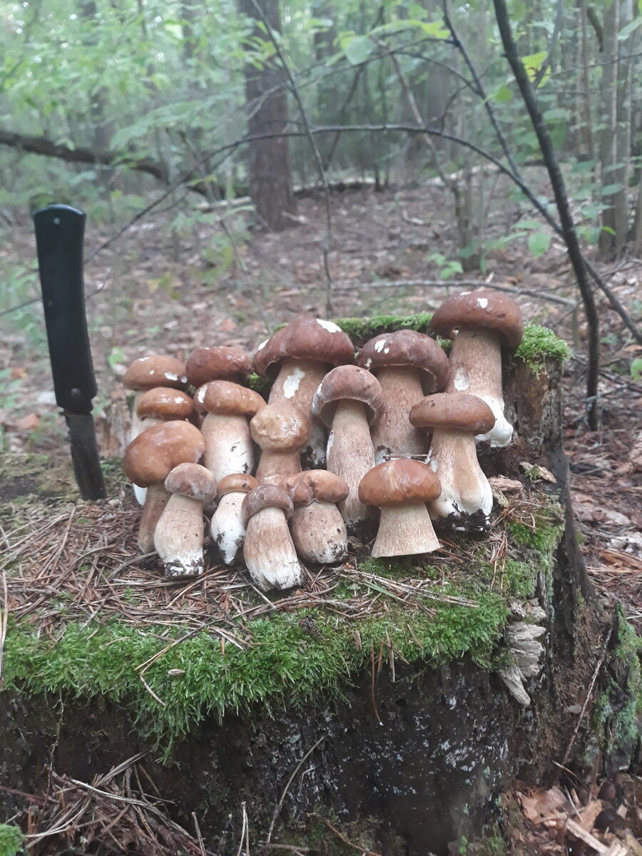 Автор фото Вуа-Вуа