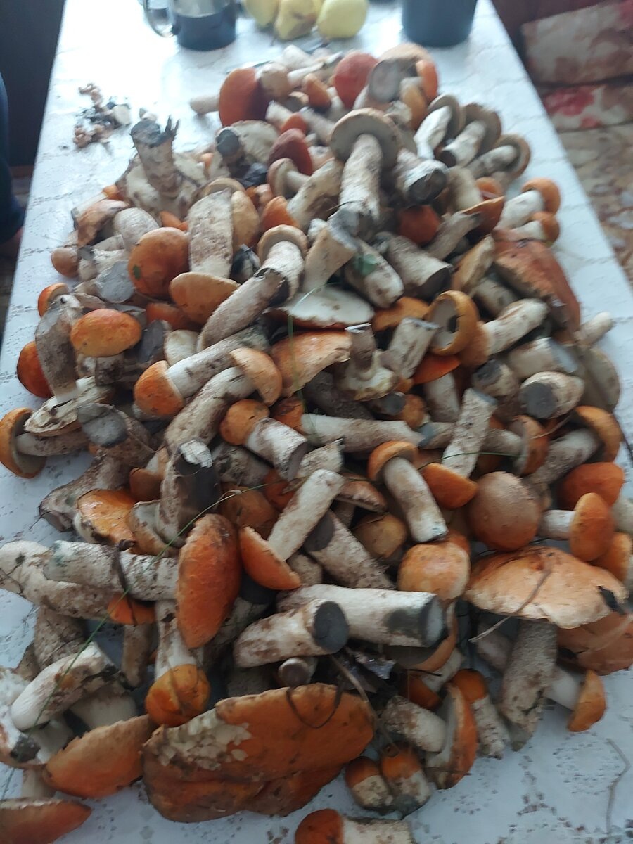 Автор фото Романтик весёлый