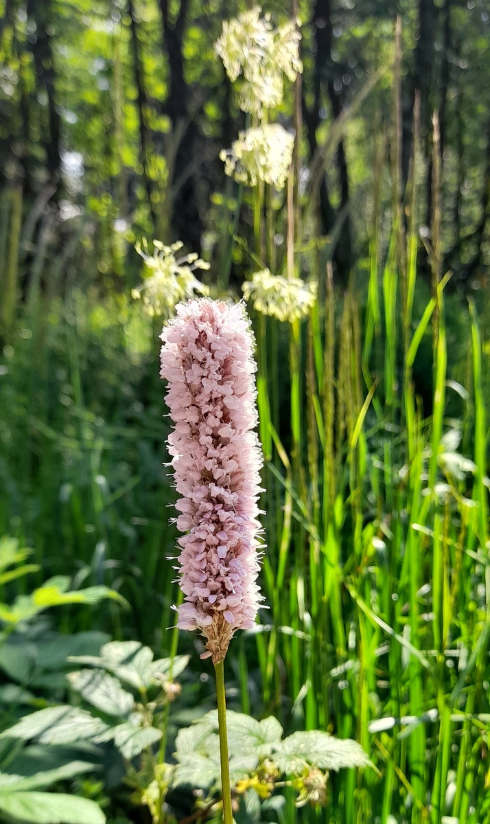 Доброе утро!