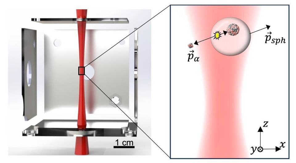   Jiaxiang Wang et al. / Physical Review Letters, 2024