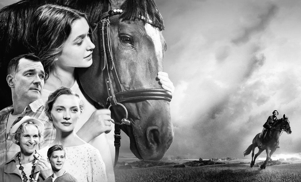 Афиша фильма «Мой любимый чемпион»