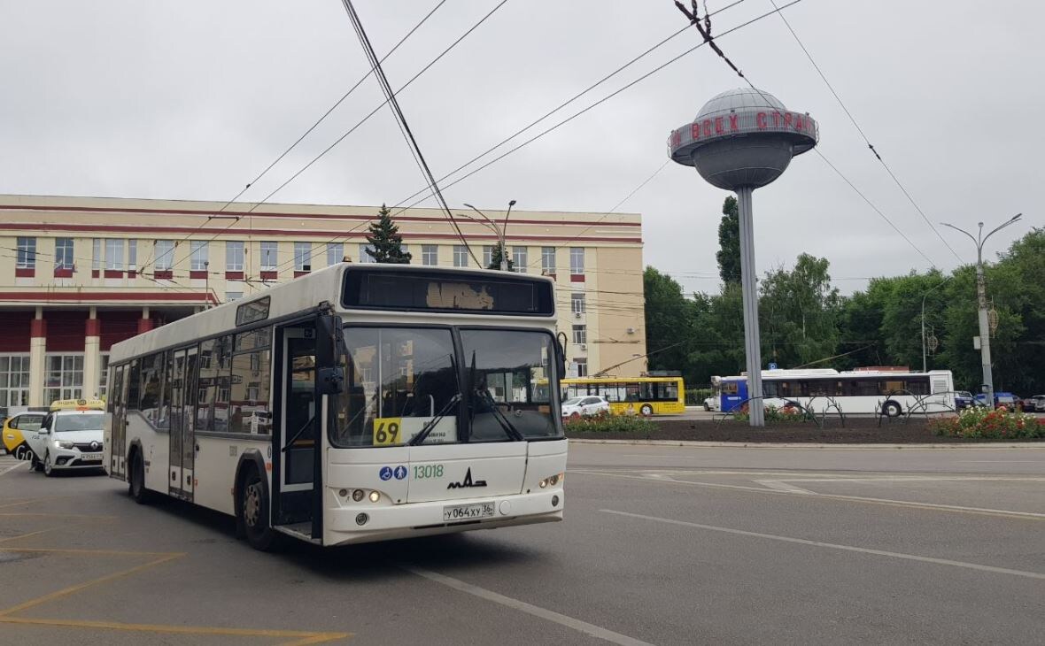 Фото: РБК Черноземье