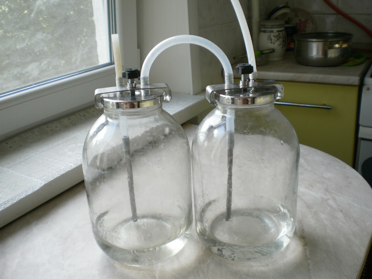 фото автора статьи