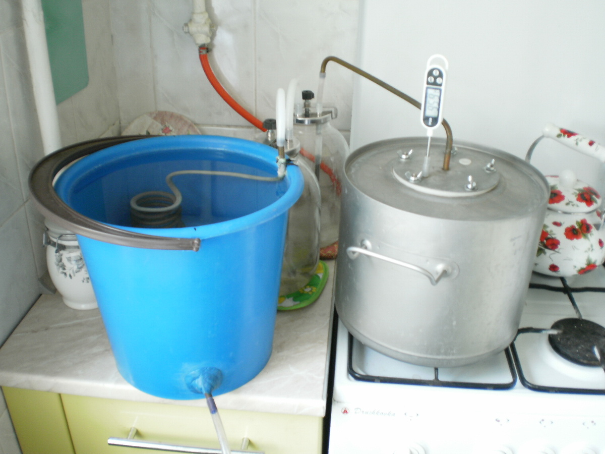 фото автора статьи