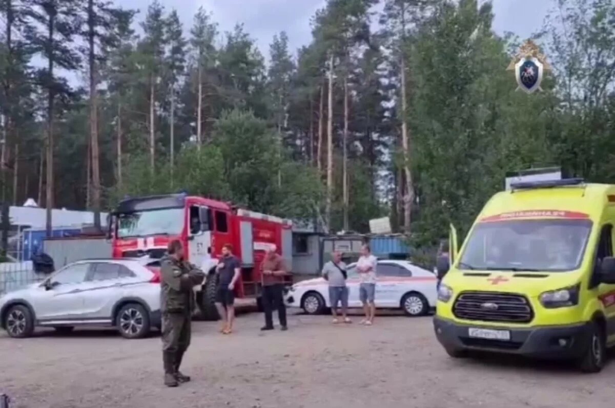    Вырвалась из клетки.