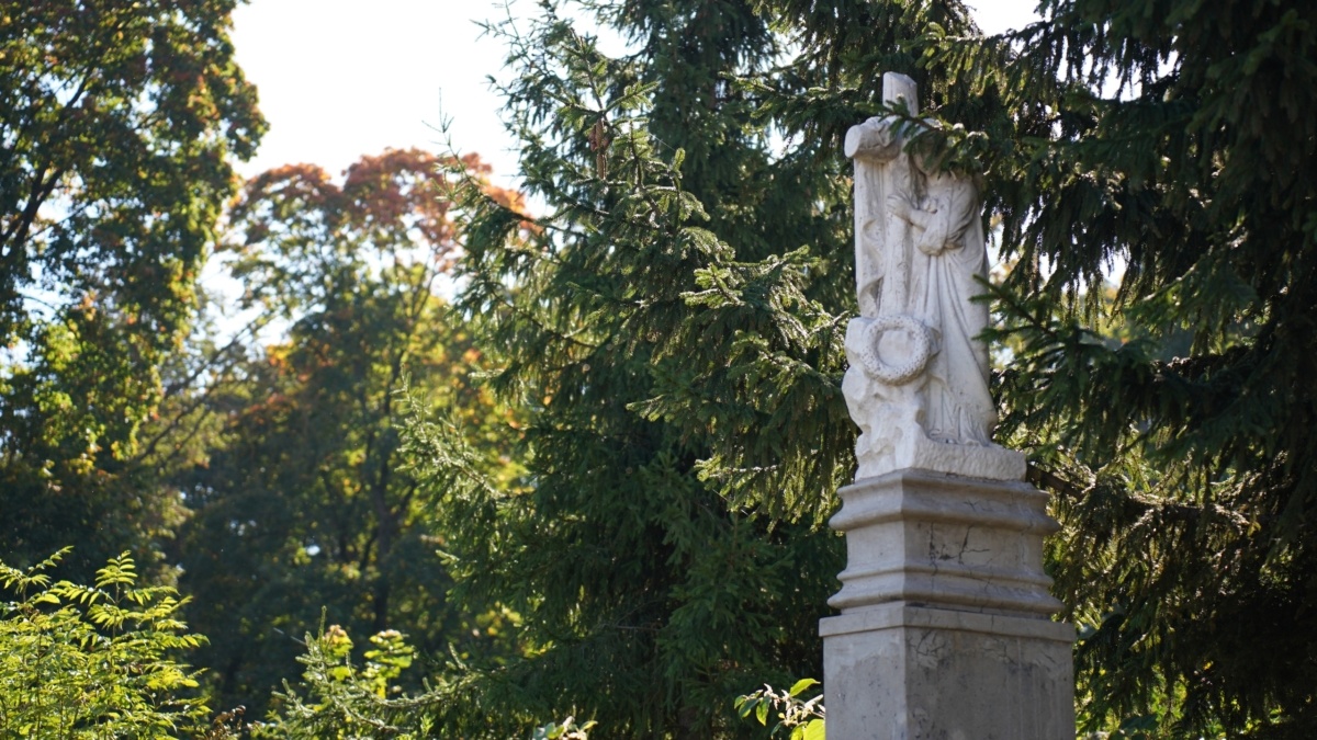 Светлана Мулыкина📷
