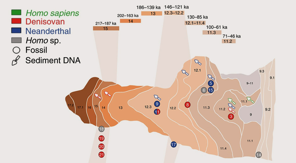   N + 1; Samantha Brown et al. / Nature Ecology & Evolution, 2024