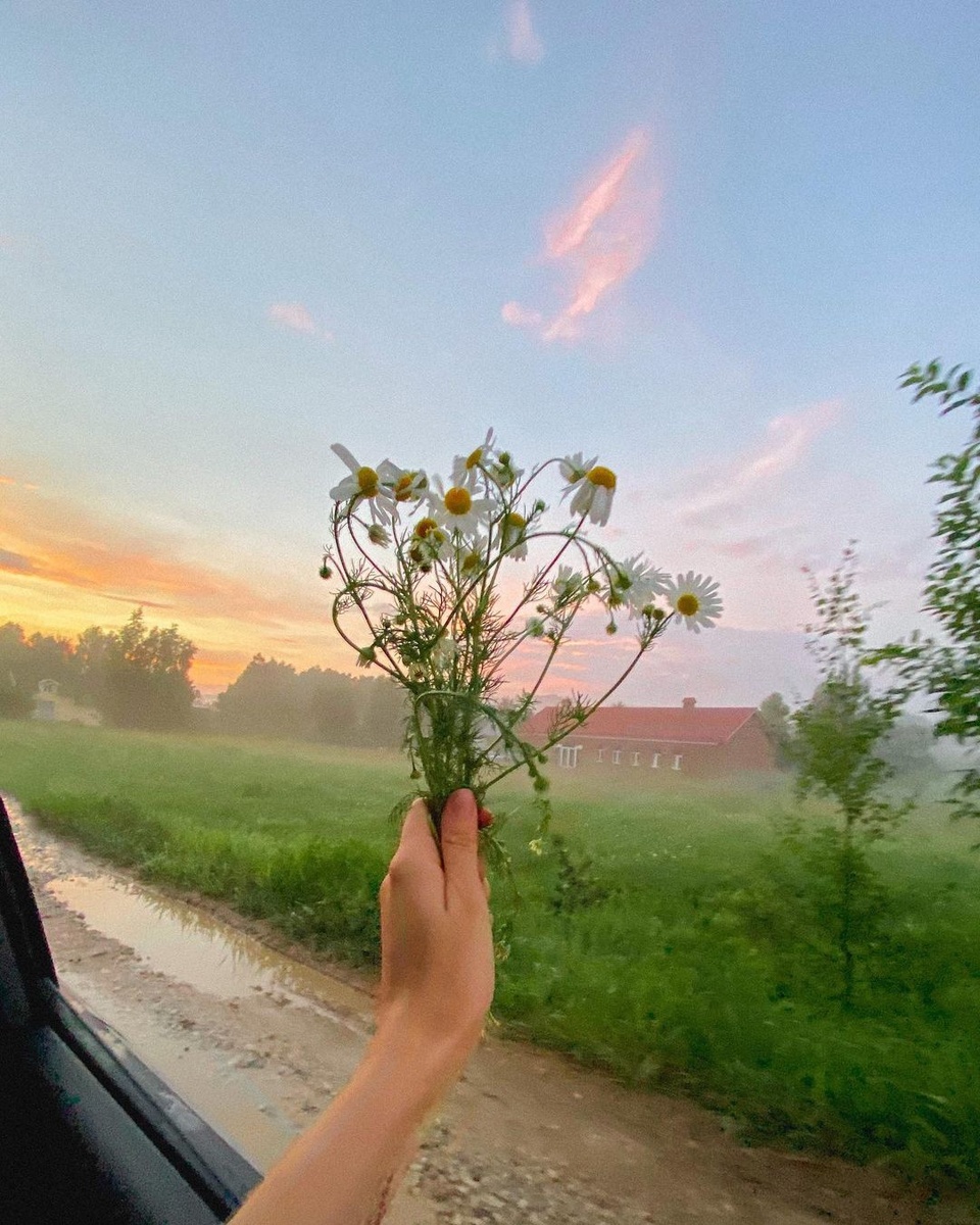 яндекс картинки