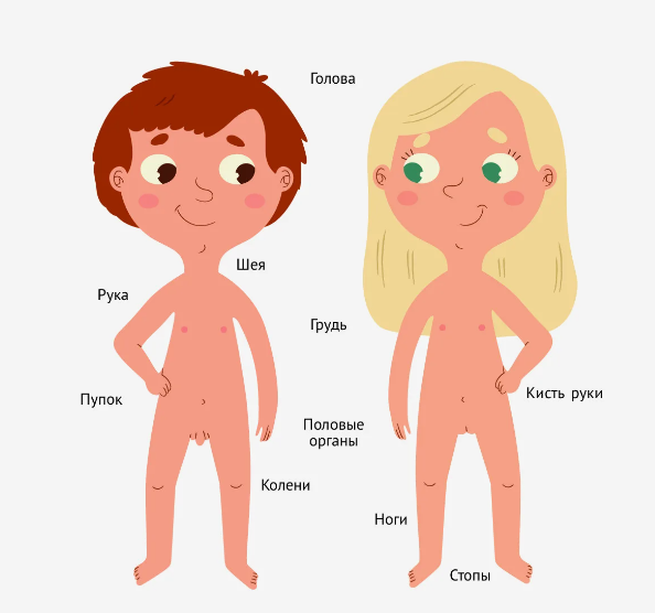 Кто мальчик, а кто девочка- узнают врачи до момента рождения по половым органам. Девочки и Мальчики развиваются по-разному, поэтому важно понимать в детства, кто ты и почему.