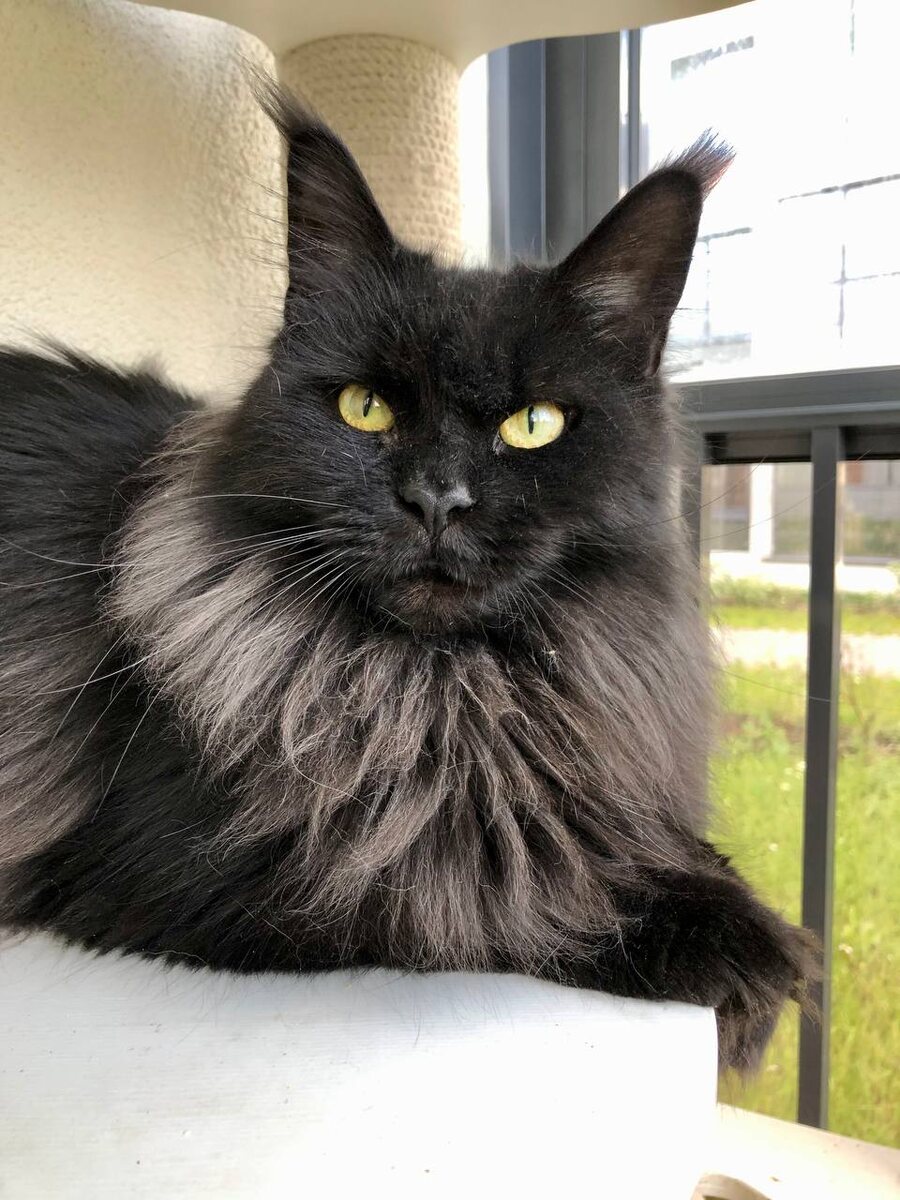 Фото из личного архива.