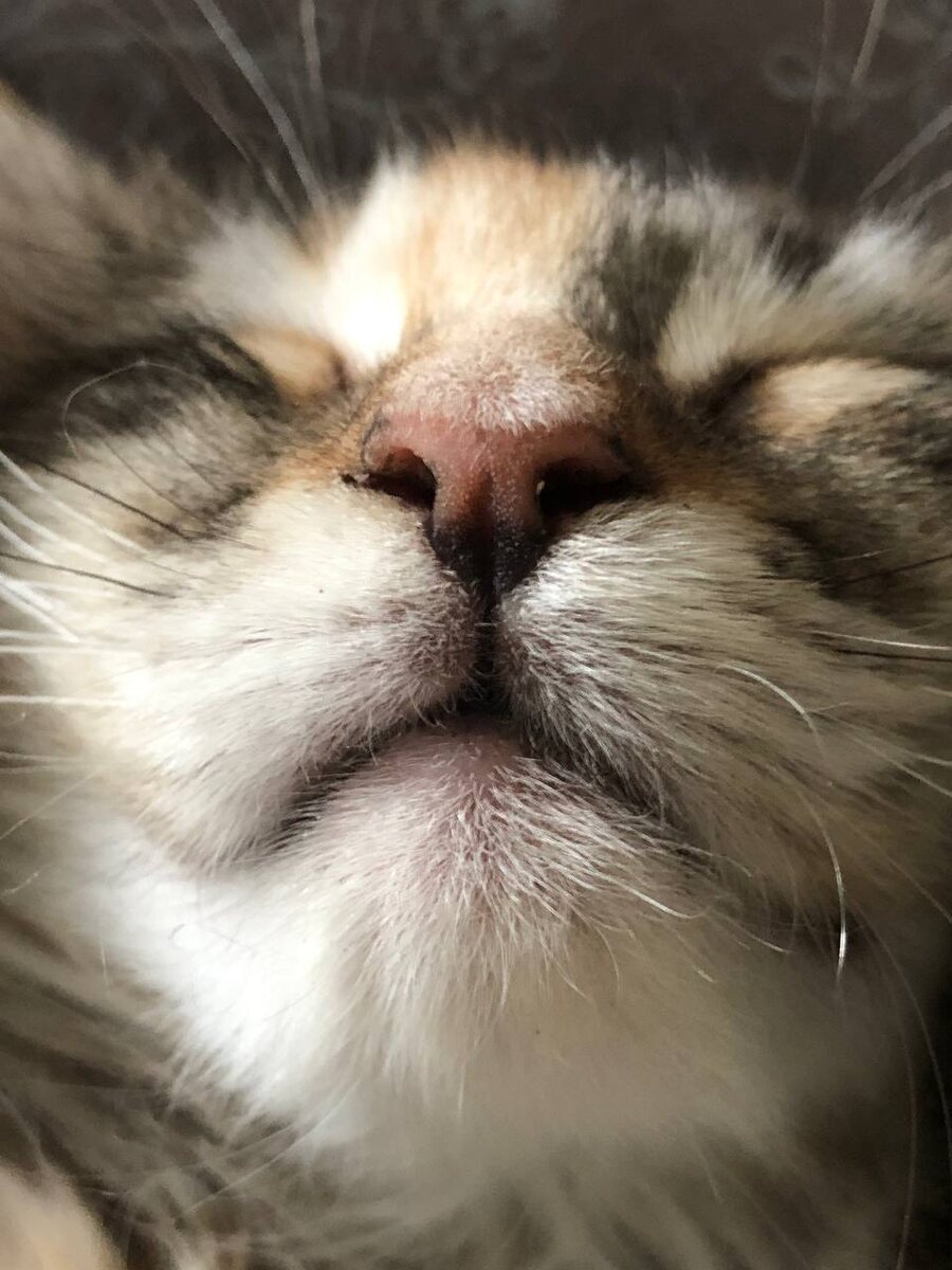 Фото из личного архива.