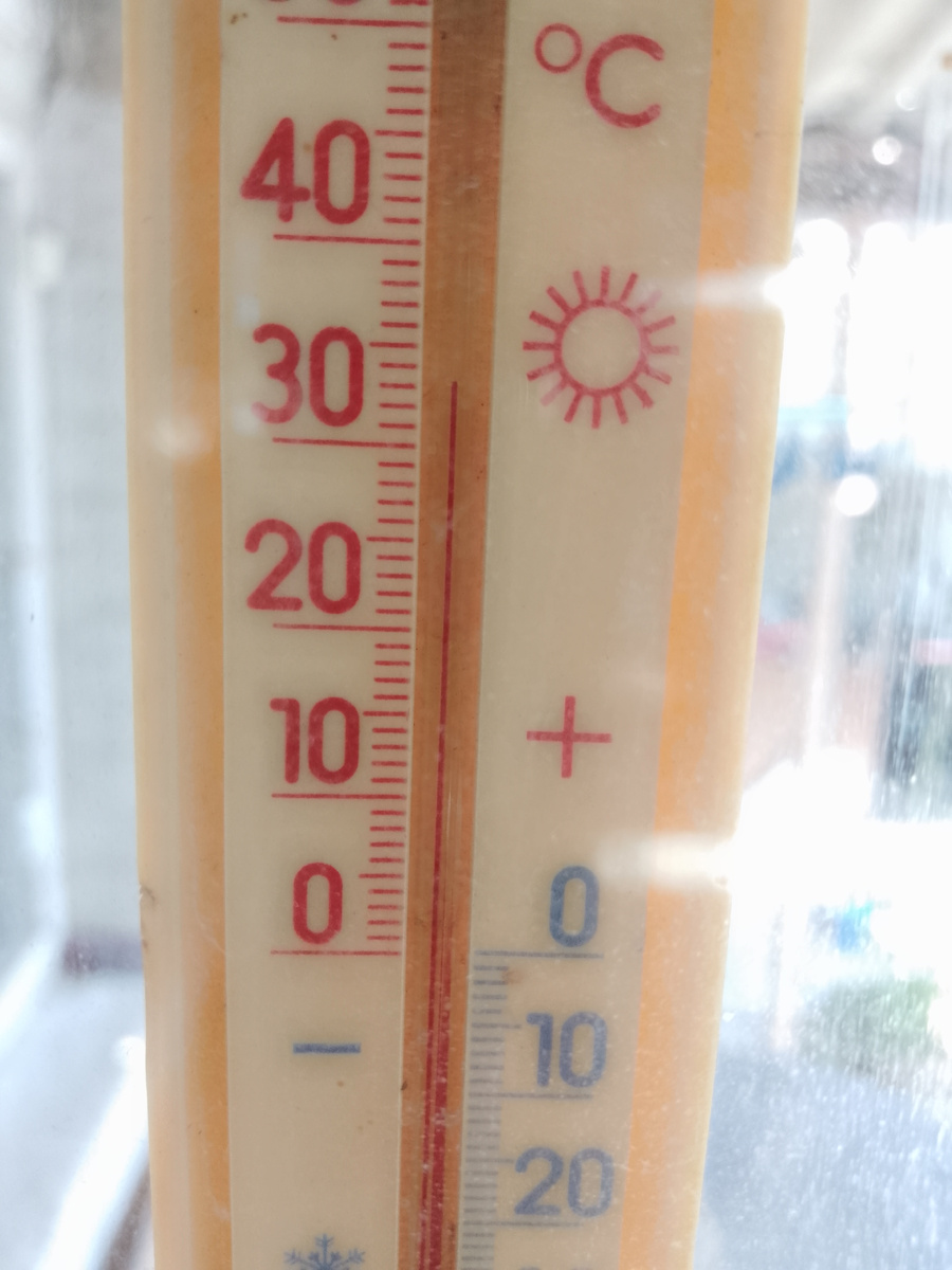 Аномальная жара в Донецке продолжается, ещё первая половина дня, а в тени уже 30 с плюсом.  Назрела необходимость сходить на рынок, у моих "траглодитов", закончился корм.