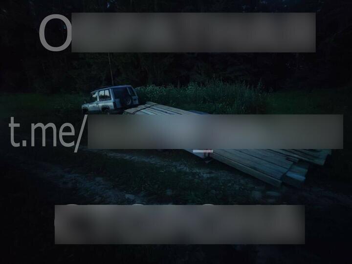 Фото из СМИ