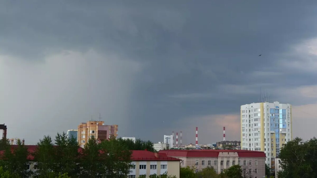     Источник: gorod55.ru