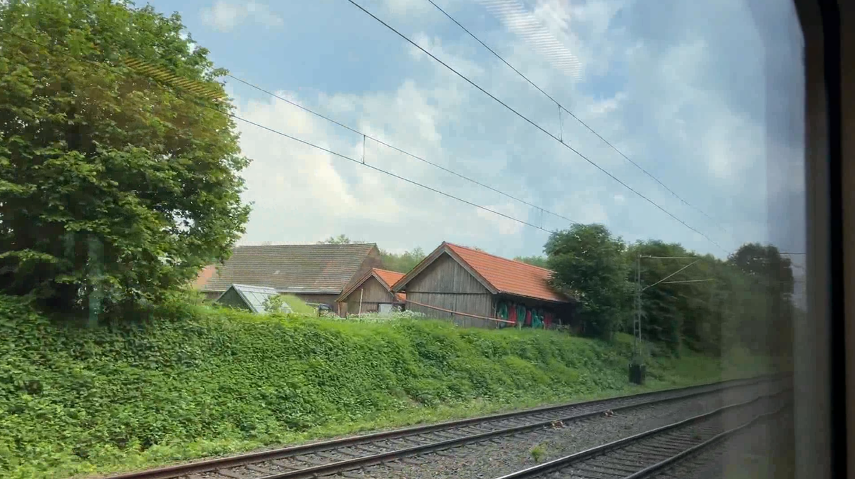 Дорога в Неандерталь.