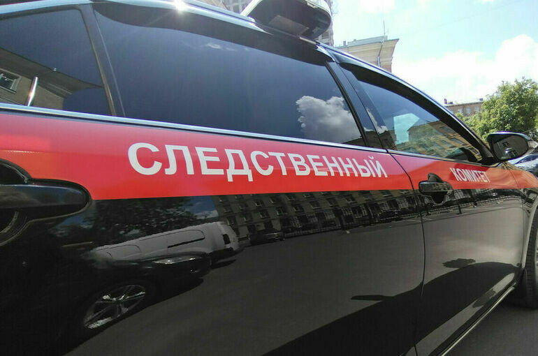   Алина Цыганова/ПГ