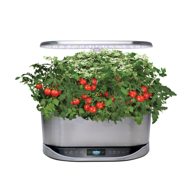 Мини-огород от компании AeroGarden