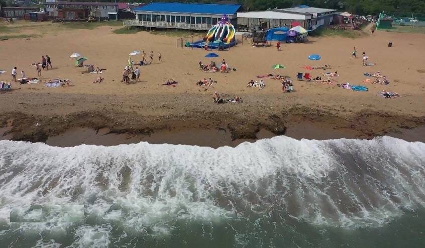  Источник фото:    
 https://vestiprim.ru/uploads/posts/2024-07/pljazh-shamora_vp.jpg