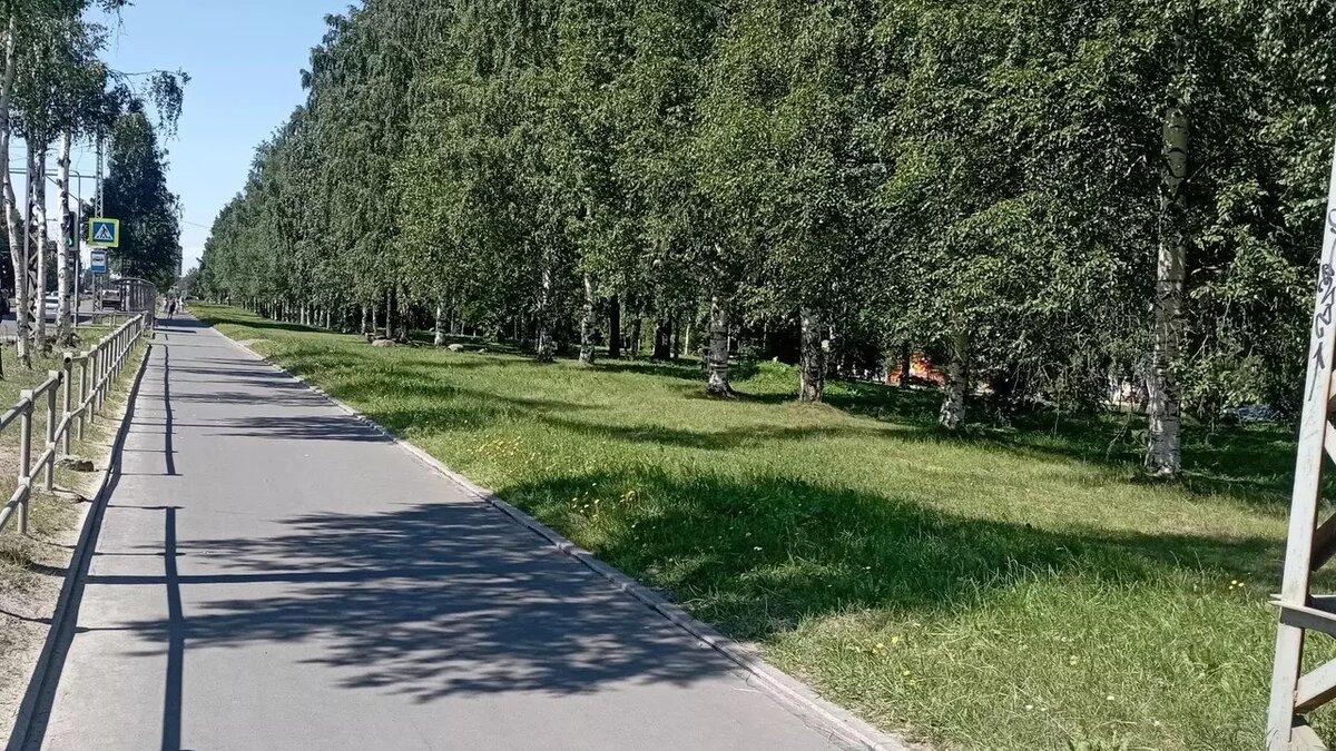     Источник: Госавтоинспекция Петрозаводска