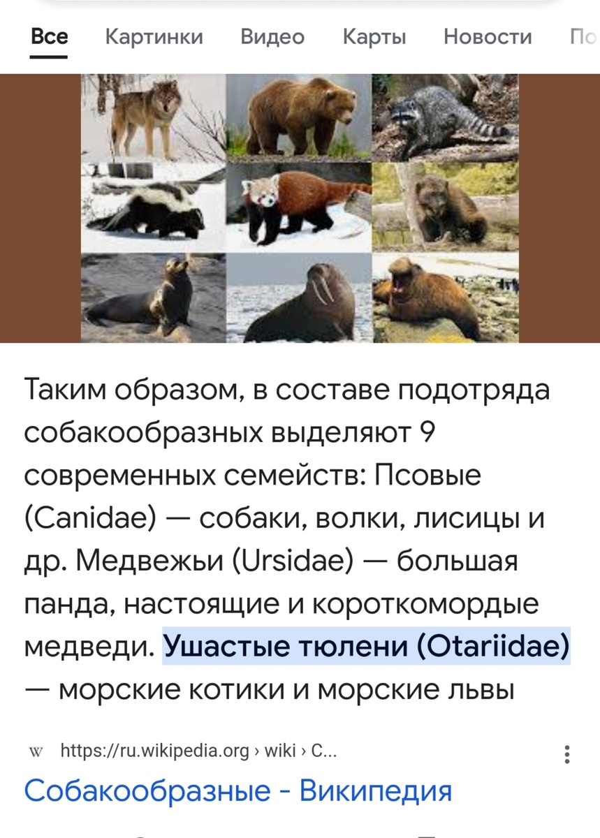 Вот, нашла, что об этом всезнающая Википедия говорит😁