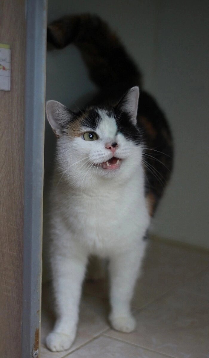 Полина