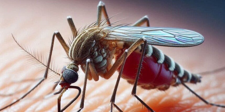    Фото: сгенерировано нейросетью по запросу Metro.