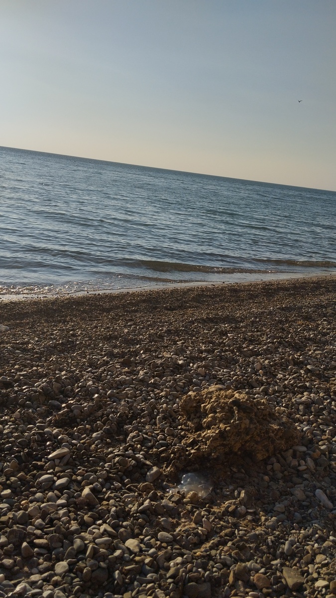 Нет прекраснее сезона, чем на пляже расслабленье...