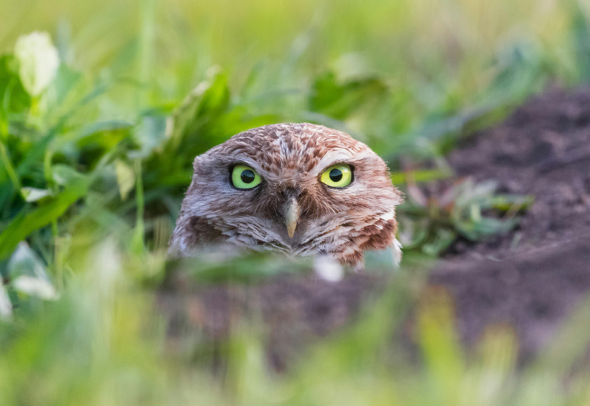 Фото: Francois Ayello/Pexels.com