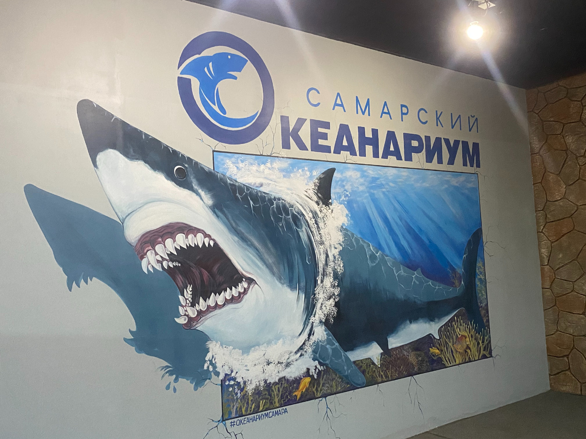 фото автораум
