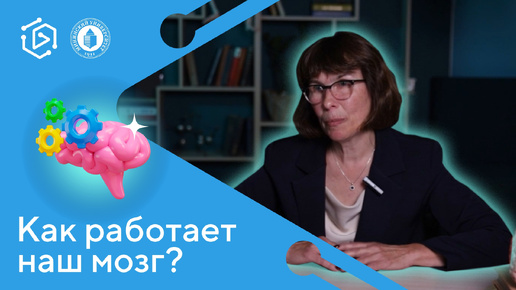 Как работает наш мозг? Ирина Мухина (Курс на науку! #2)