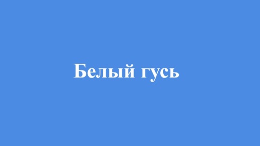 Голоса птиц белый гусь большой пёстрый дятел кто лучше #орнитология #пениептиц #голосаптиц #зоо #природа #птицы