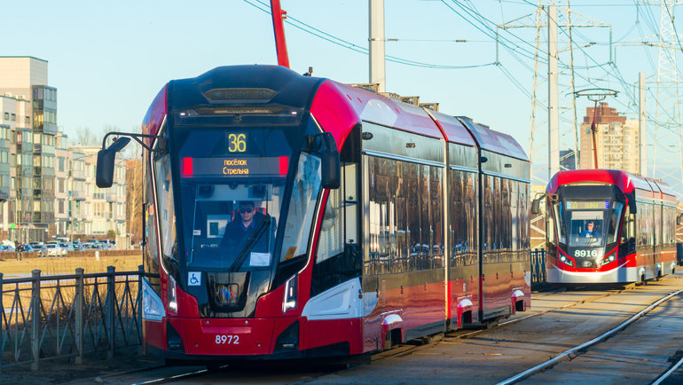    Anton Novikov/iStock