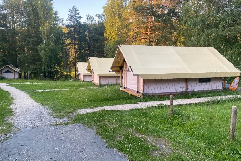 Лесное сафари. Изумрудный лес клин зоопарк. Сафари парк клин. Можайск сафари парк. Русское сафари клин природный парк.
