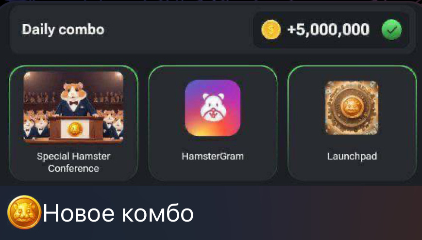 Hamster combat комбо 12.07